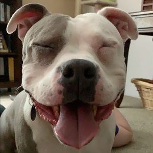 Meet your Posher, Pat